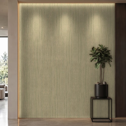Bodaq SPW38 interior film rendered on a feature wall