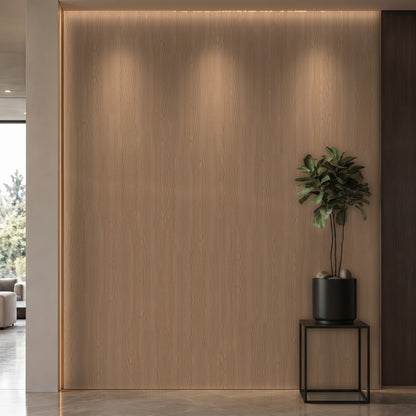 Bodaq SPW40 interior film rendered on a feature wall