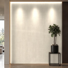 Bodaq SPW43 interior film rendered on a feature wall