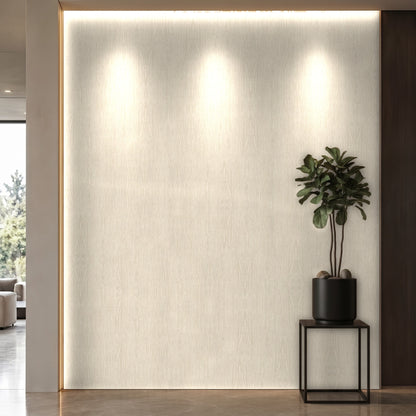 Bodaq SPW43 interior film rendered on a feature wall