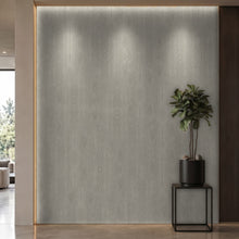 Bodaq SPW44 interior film rendered on a feature wall