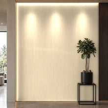 Bodaq SPW45 interior film rendered on a feature wall