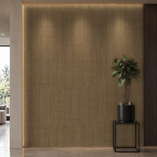 Bodaq SPW53 interior film rendered on a feature wall