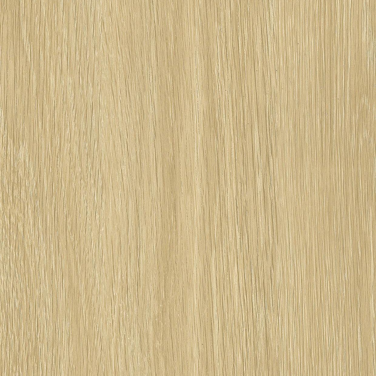 Bodaq SPW62 Lime Wash Oak interior film swatch, Origin Wood Collection