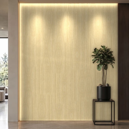 Bodaq SPW62 interior film rendered on a feature wall