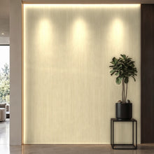 Bodaq SPW63 interior film rendered on a feature wall