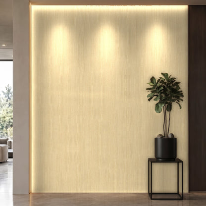 Bodaq SPW66 interior film rendered on a feature wall