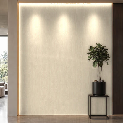 Bodaq SPW68 interior film rendered on a feature wall