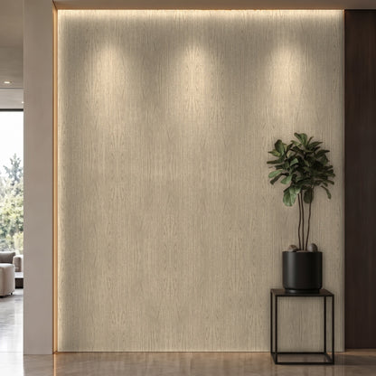 Bodaq SPW70 interior film rendered on a feature wall