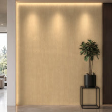 Bodaq SPW88 interior film rendered on a feature wall