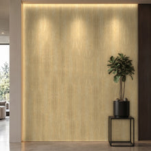 Bodaq SPW94 interior film rendered on a feature wall