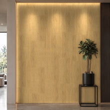 Bodaq SPW96 interior film rendered on a feature wall