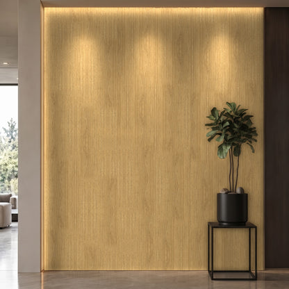 Bodaq SPW96 interior film rendered on a feature wall