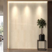 Bodaq SPW98 interior film rendered on a feature wall