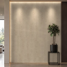 Bodaq SPW99 interior film rendered on a feature wall
