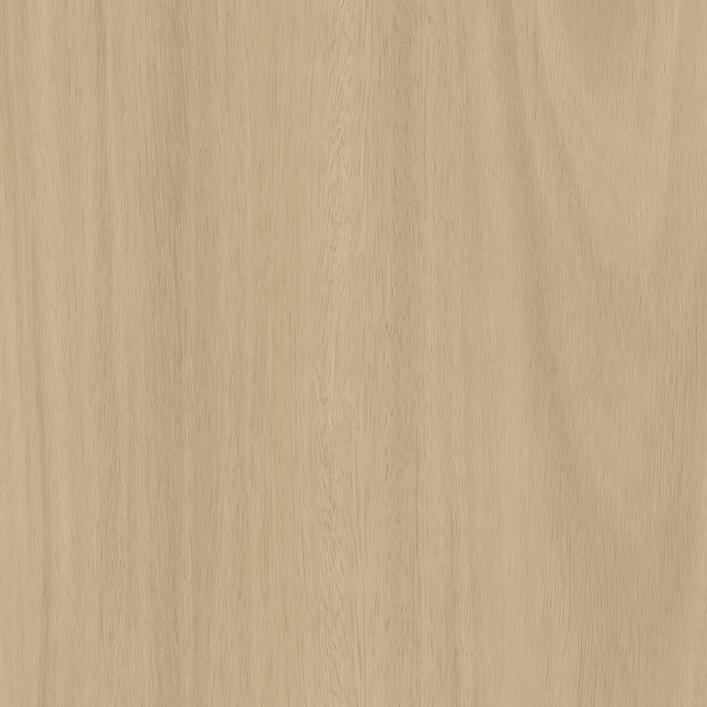 Bodaq W017 W017 Eucalyptus interior film swatch, Natural Wood Collection