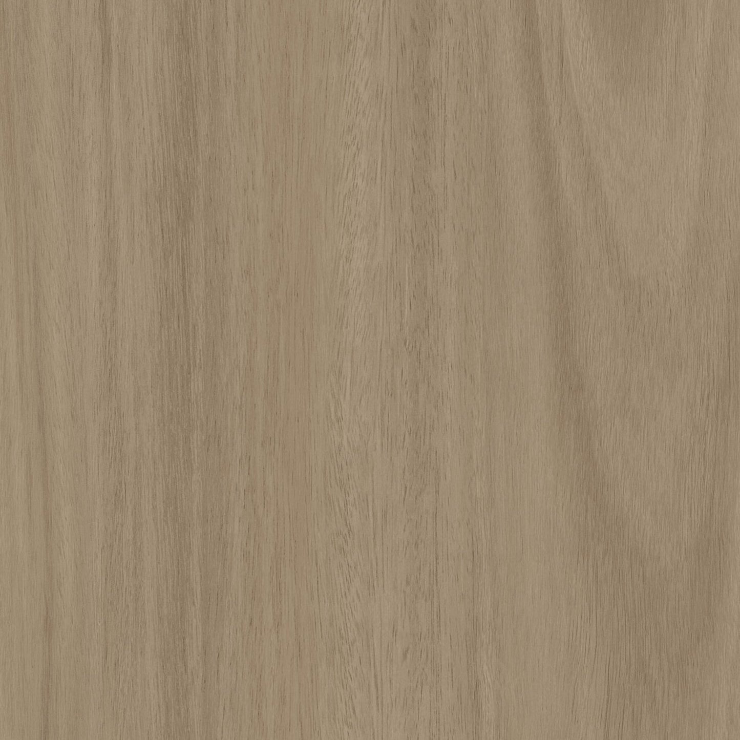 Bodaq W018 Smoked Eucalyptus interior film swatch, Natural Wood Collection