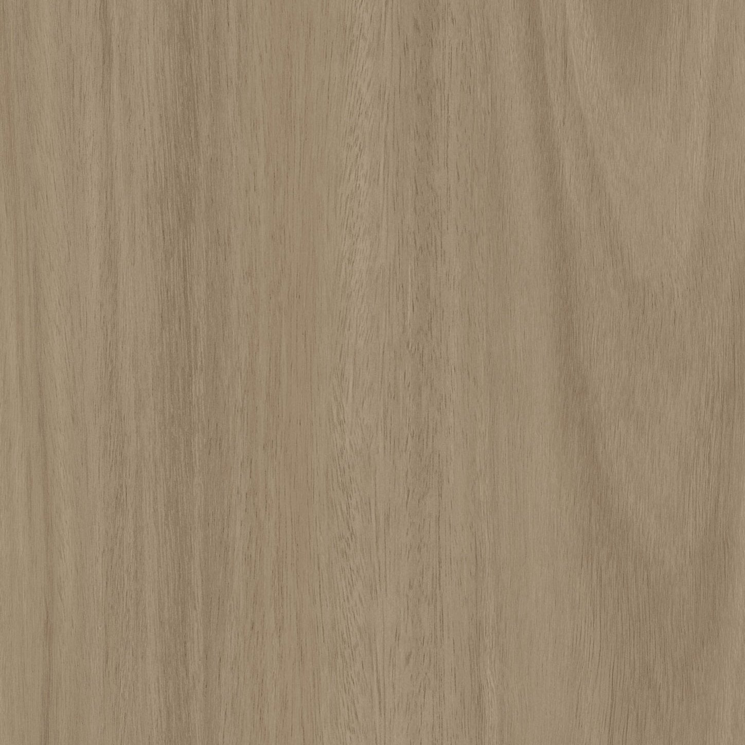 Bodaq W018 Smoked Eucalyptus interior film swatch, Natural Wood Collection