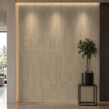 Bodaq W018 interior film rendered on a feature wall