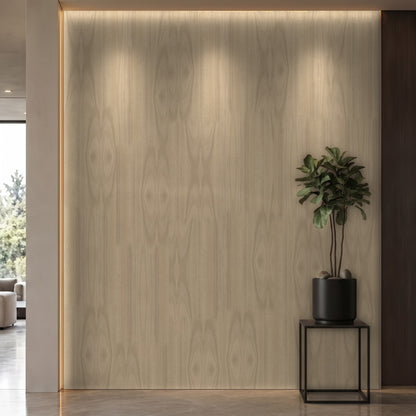 Bodaq W018 interior film rendered on a feature wall