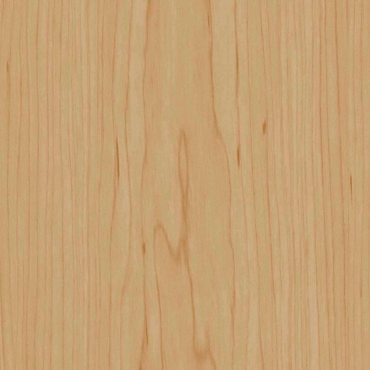 Bodaq W134 Maple interior film swatch, Standard Wood Collection
