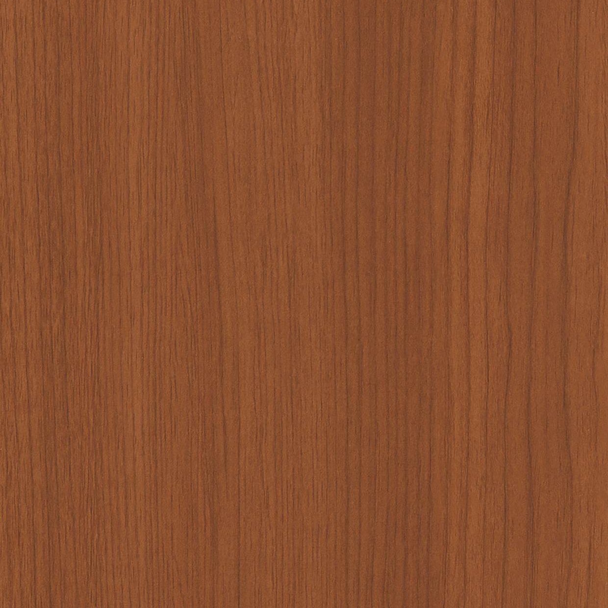 Bodaq W171 Maple interior film swatch, Standard Wood Collection