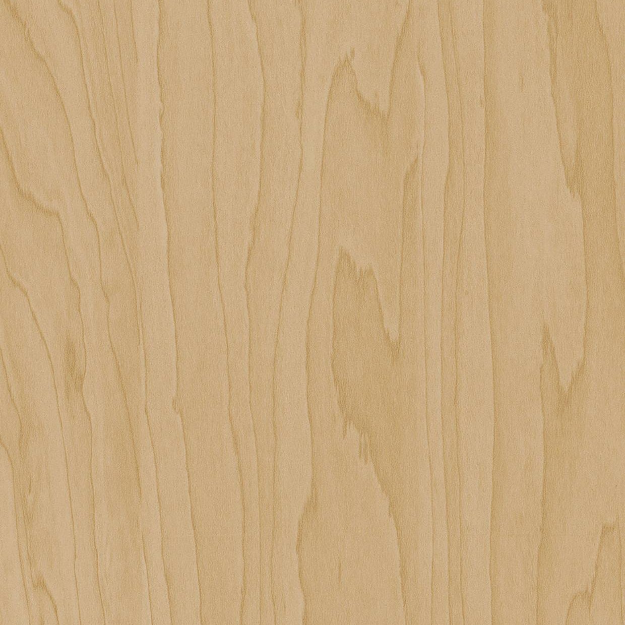 Bodaq W200 Maple Light interior film swatch, Standard Wood Collection