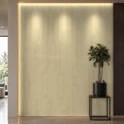 Bodaq W402 interior film rendered on a feature wall