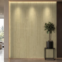 Bodaq W403 interior film rendered on a feature wall