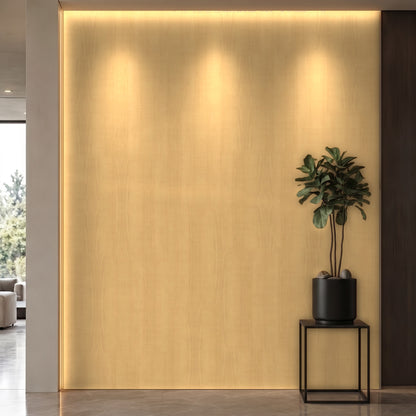 Bodaq W531 Sycamore interior film rendered on a feature wall