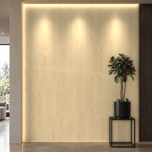 Bodaq W741 interior film rendered on a feature wall