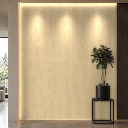 Bodaq W741 interior film rendered on a feature wall