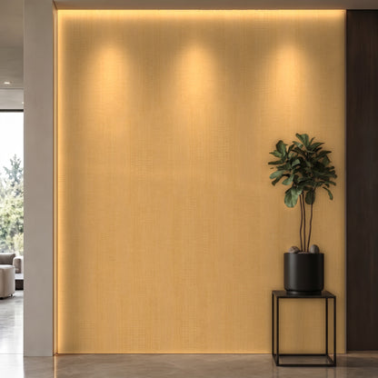 Bodaq W845 Sycamore interior film rendered on a feature wall