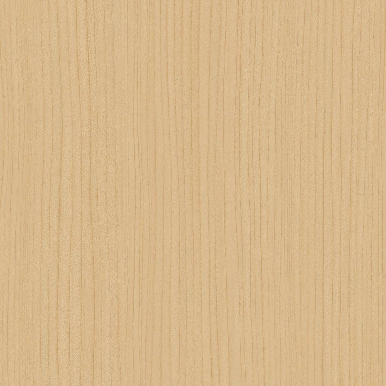 Bodaq ZX153 Maple interior film swatch, Wood Collection