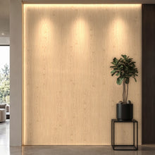 Bodaq ZX159 Ash interior film rendered on a feature wall