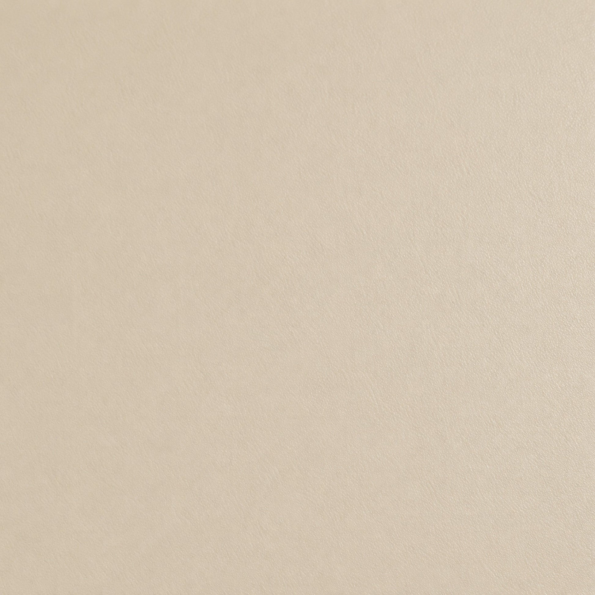 Renuva Solid Smooth MT1705 architectural film color sample